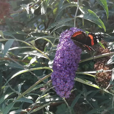 Gaestewohnung Schwanenteich Lägenhet *
