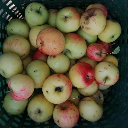 Lägenhet Gaestewohnung Schwanenteich Ueckermünde