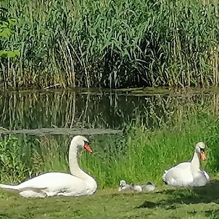 Lägenhet Gaestewohnung Schwanenteich Ueckermünde